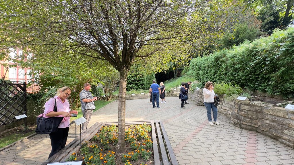 Vizită a participanților la grădina botanică, în care explorează grădina senzorială și interacționează cu elementele naturale.