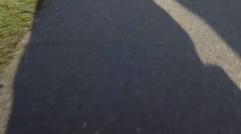 afis I Didn’t See You There